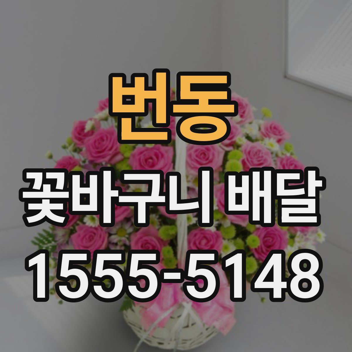 번동 꽃바구니 배달