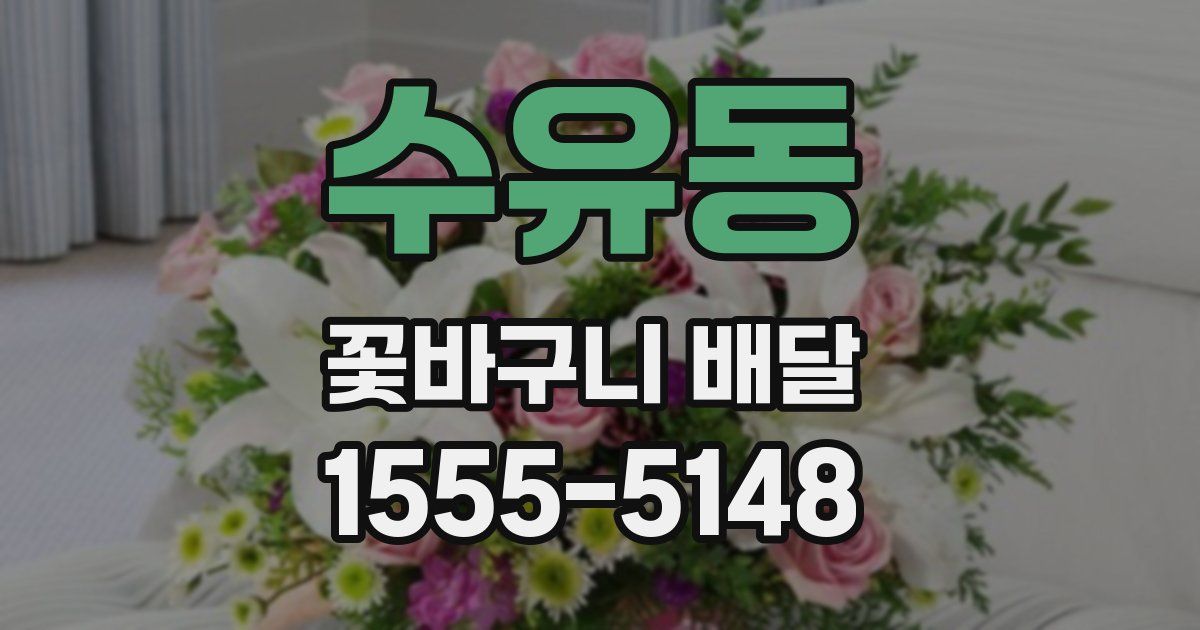 수유동 꽃바구니 배달