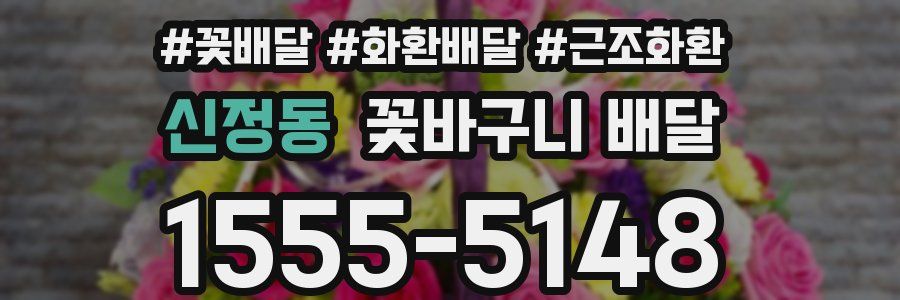 신정동 꽃바구니 배달