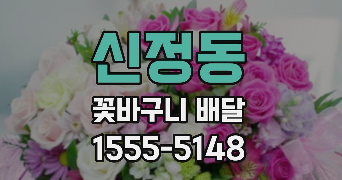 신정동 꽃바구니 배달