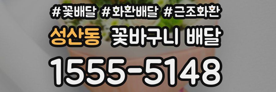 성산동 꽃바구니 배달