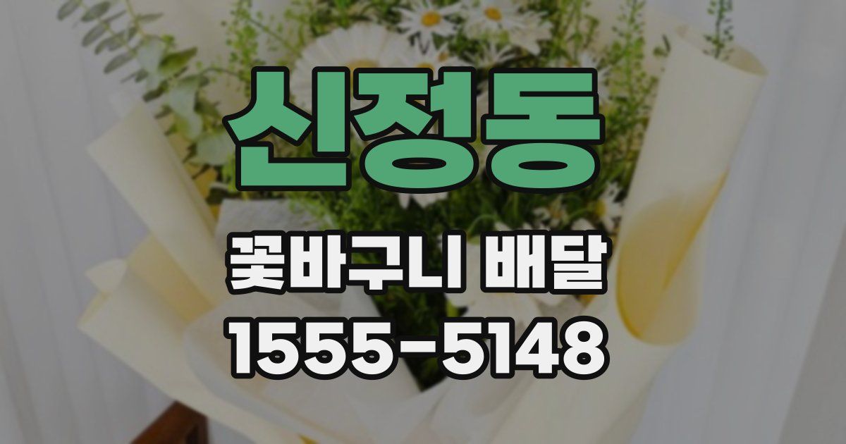 신정동 꽃바구니 배달