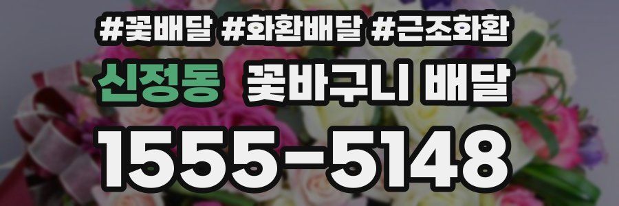 신정동 꽃바구니 배달