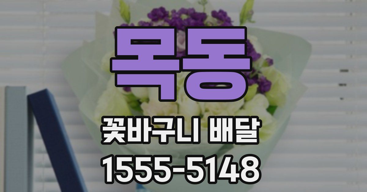 목동 꽃바구니 배달