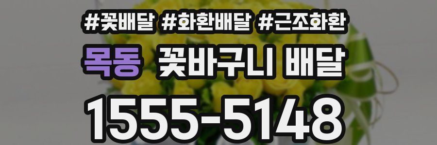 목동 꽃바구니 배달