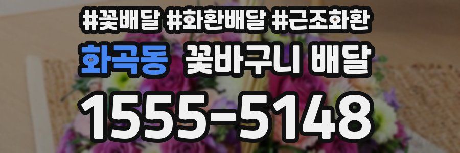 화곡동 꽃바구니 배달