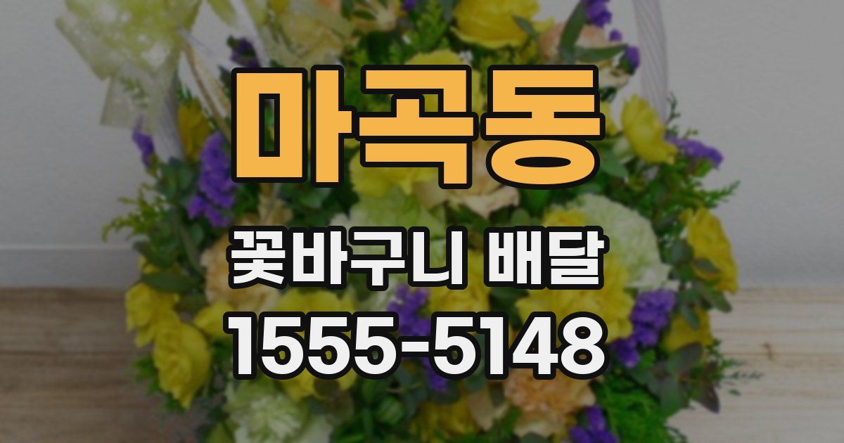 마곡동 꽃바구니 배달