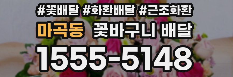 마곡동 꽃바구니 배달