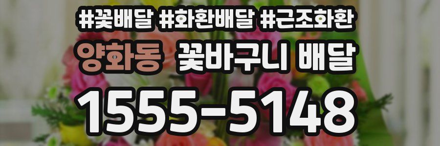 양화동 꽃바구니 배달