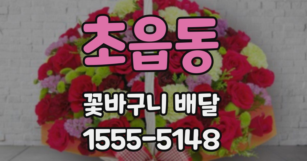 초읍동 꽃바구니 배달