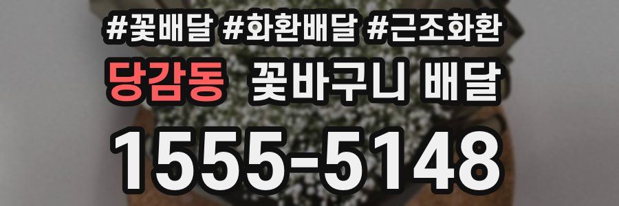 당감동 꽃바구니 배달