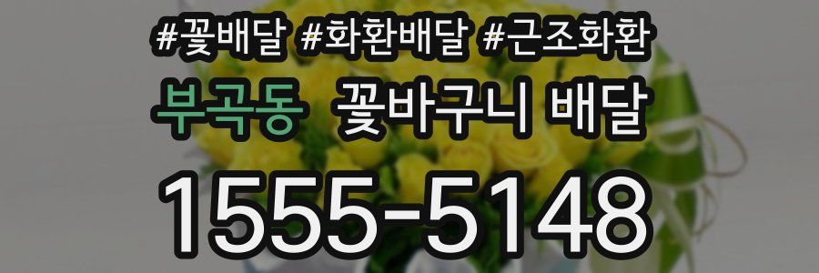 부곡동 꽃바구니 배달