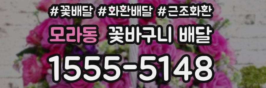 모라동 꽃바구니 배달