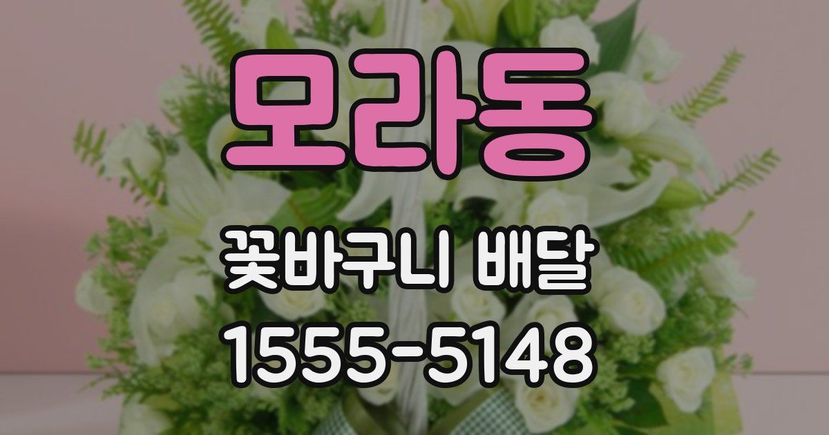 모라동 꽃바구니 배달