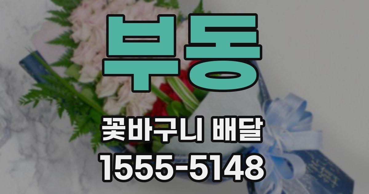 부동 꽃바구니 배달