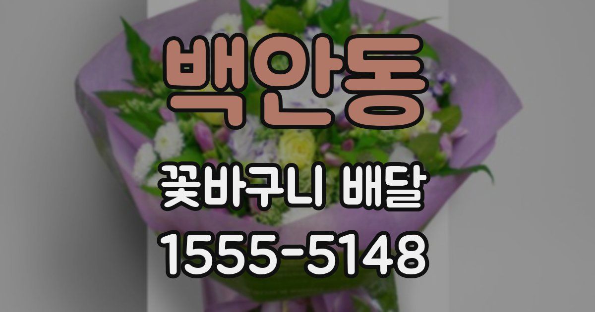 백안동 꽃바구니 배달