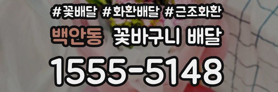 백안동 꽃바구니 배달