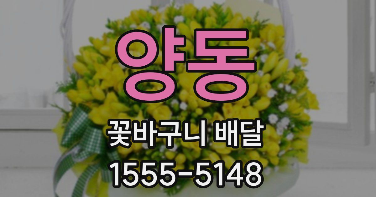 양동 꽃바구니 배달