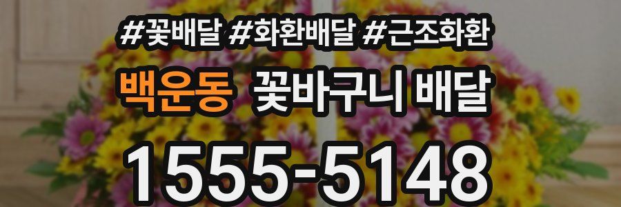 백운동 꽃바구니 배달