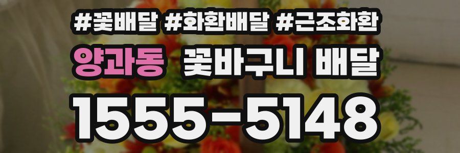 양과동 꽃바구니 배달