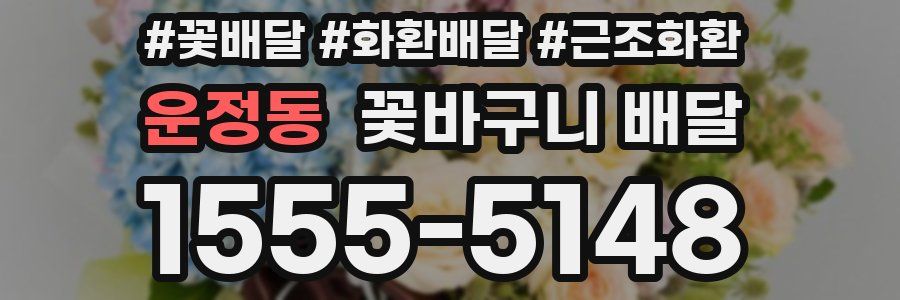 운정동 꽃바구니 배달