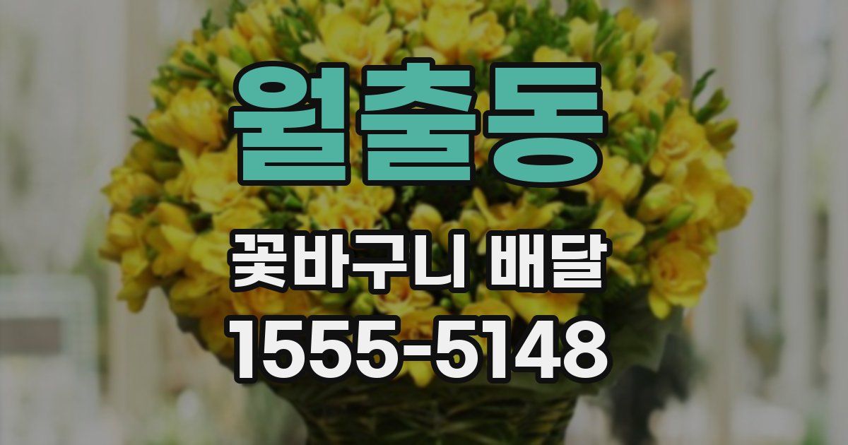월출동 꽃바구니 배달