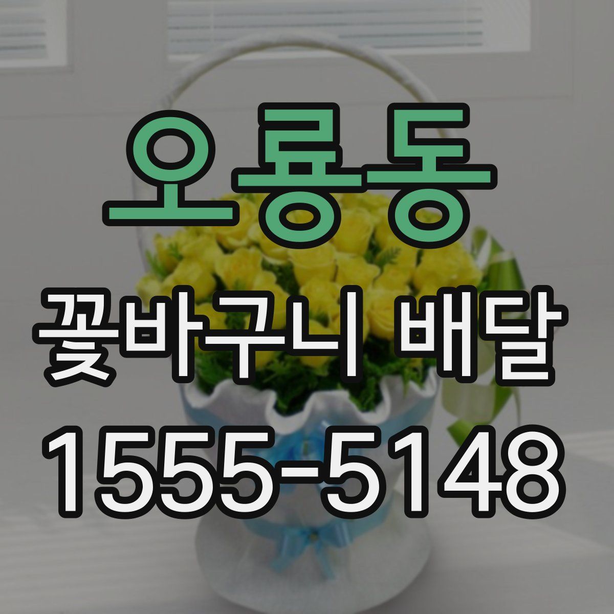오룡동 꽃바구니 배달
