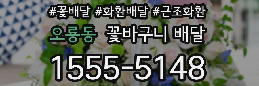 오룡동 꽃바구니 배달