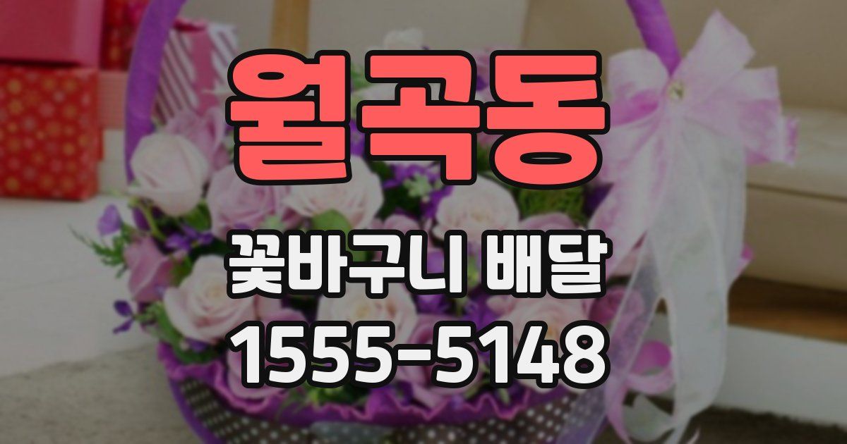 월곡동 꽃바구니 배달