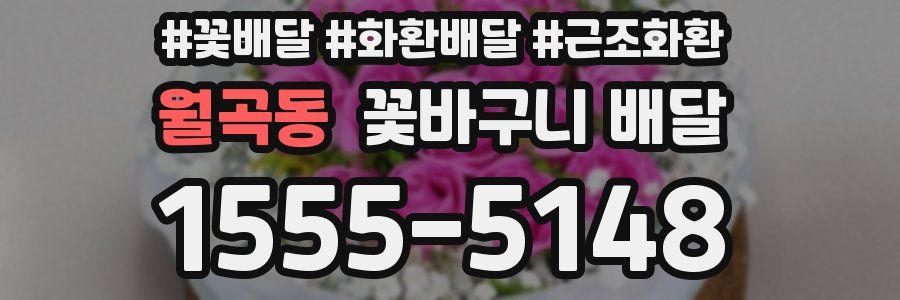 월곡동 꽃바구니 배달