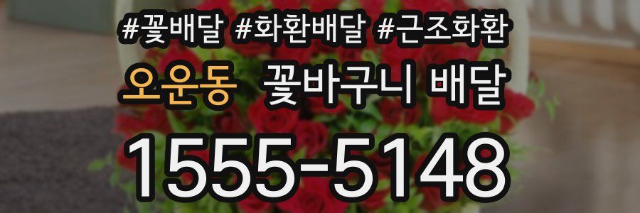 오운동 꽃바구니 배달