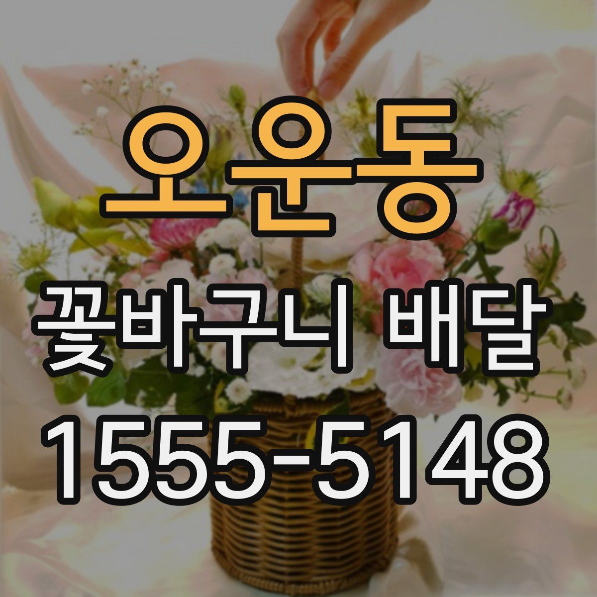오운동 꽃바구니 배달