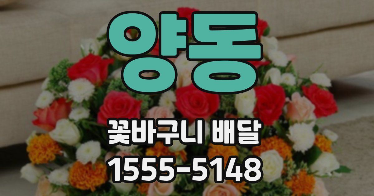 양동 꽃바구니 배달