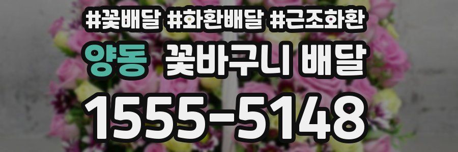 양동 꽃바구니 배달