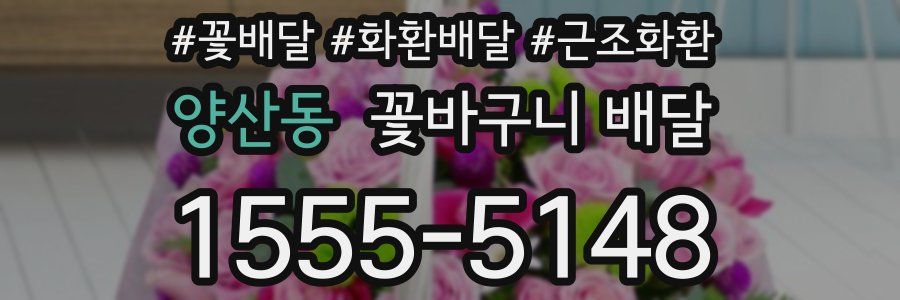 양산동 꽃바구니 배달