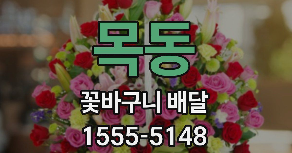 목동 꽃바구니 배달