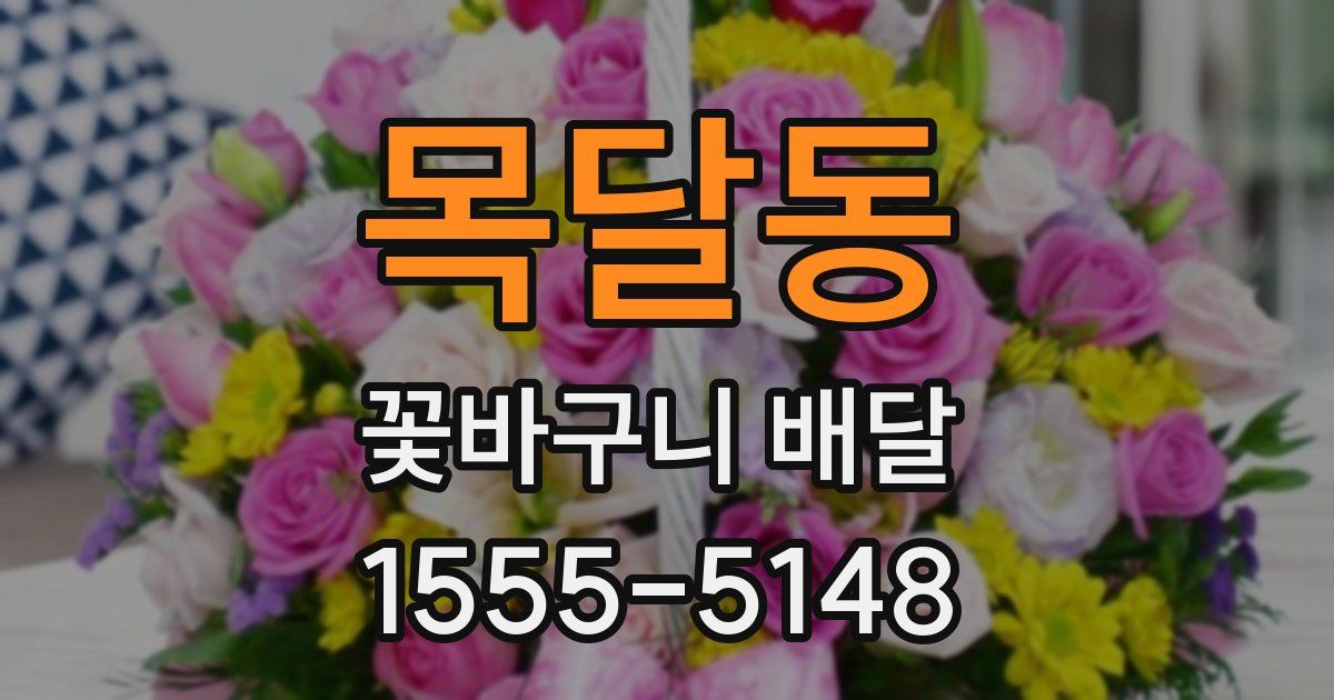 목달동 꽃바구니 배달