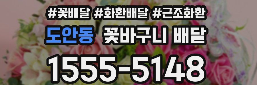도안동 꽃바구니 배달
