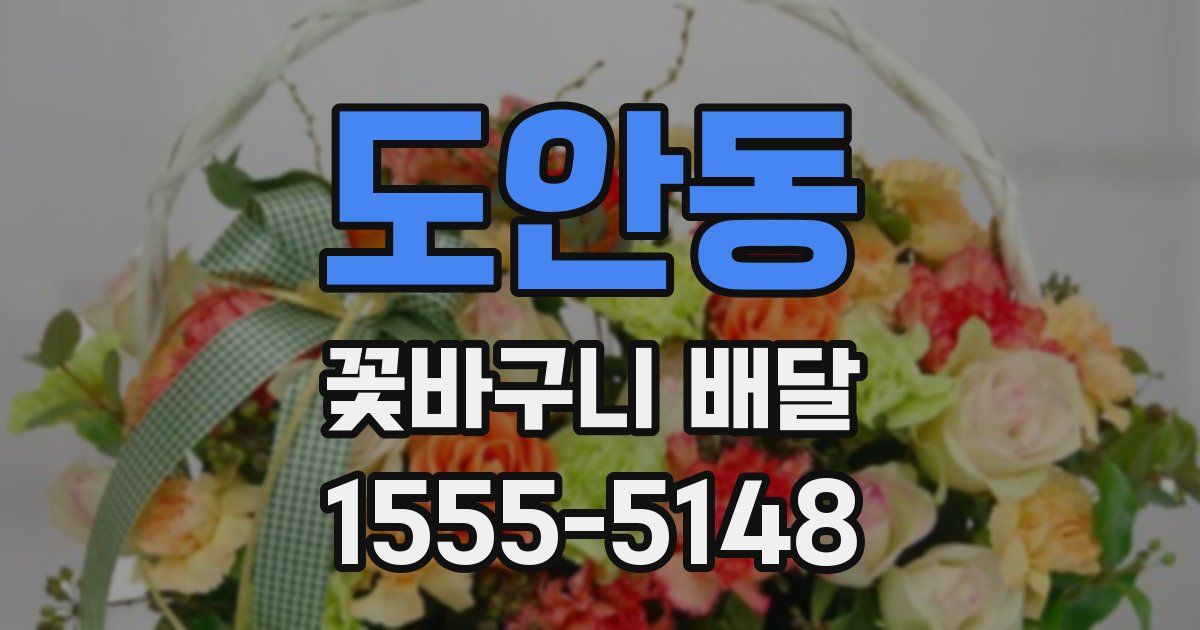 도안동 꽃바구니 배달