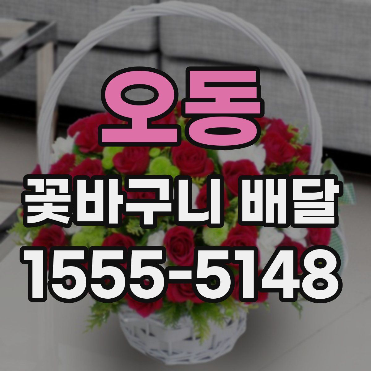 오동 꽃바구니 배달