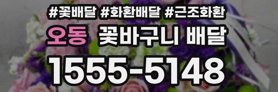 오동 꽃바구니 배달