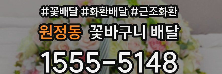 원정동 꽃바구니 배달