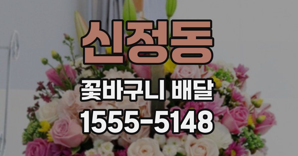 신정동 꽃바구니 배달