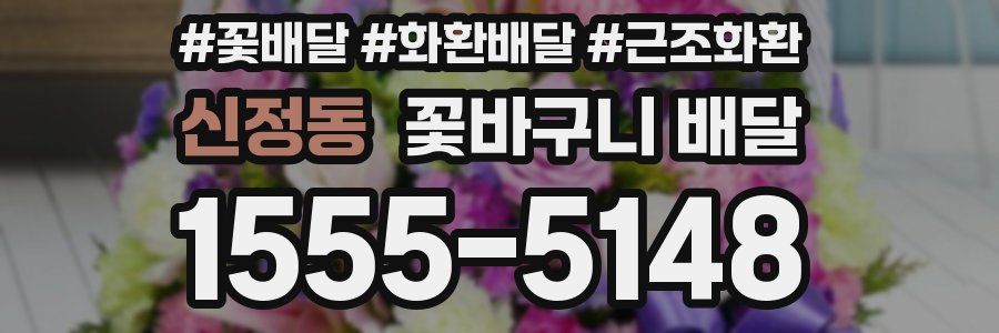신정동 꽃바구니 배달