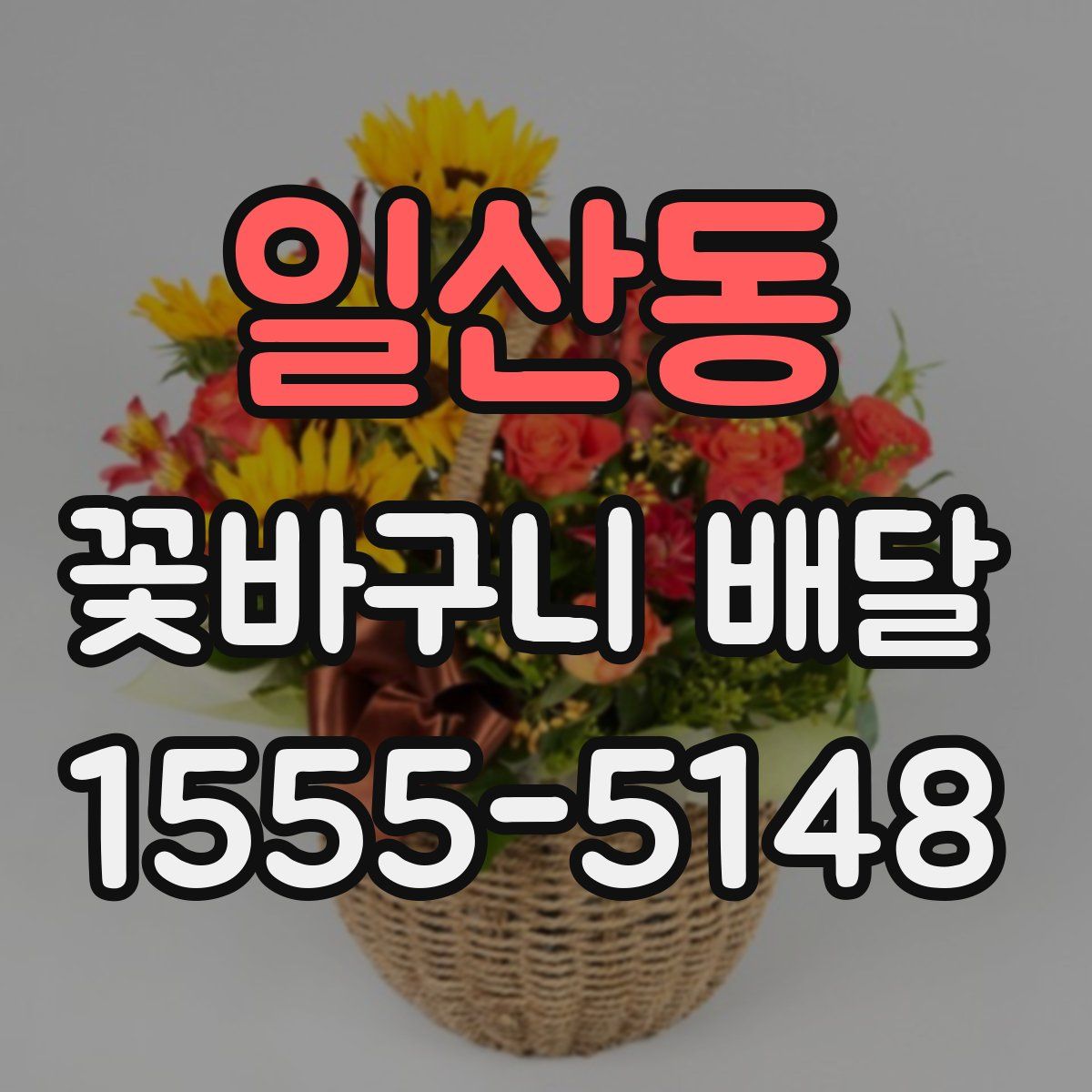 일산동 꽃바구니 배달