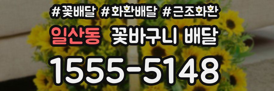 일산동 꽃바구니 배달