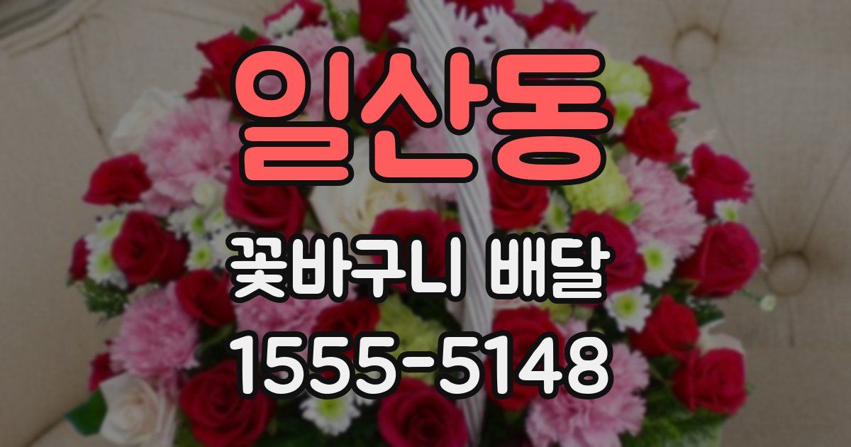 일산동 꽃바구니 배달