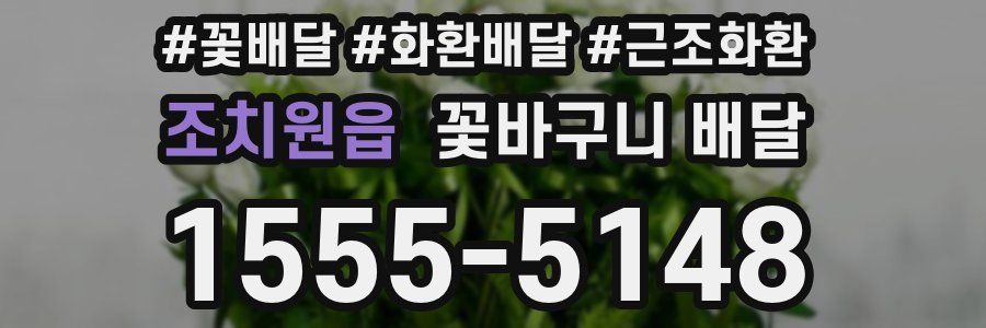 조치원읍 꽃바구니 배달