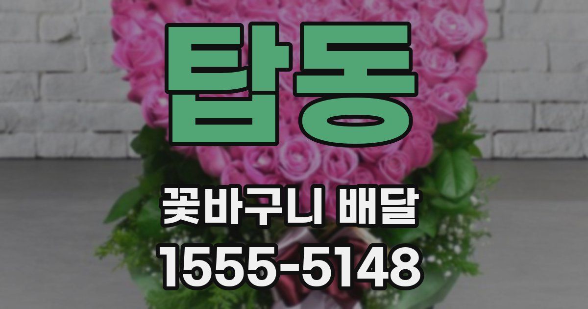 탑동 꽃바구니 배달