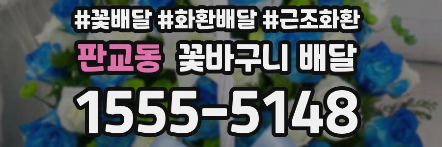 판교동 꽃바구니 배달